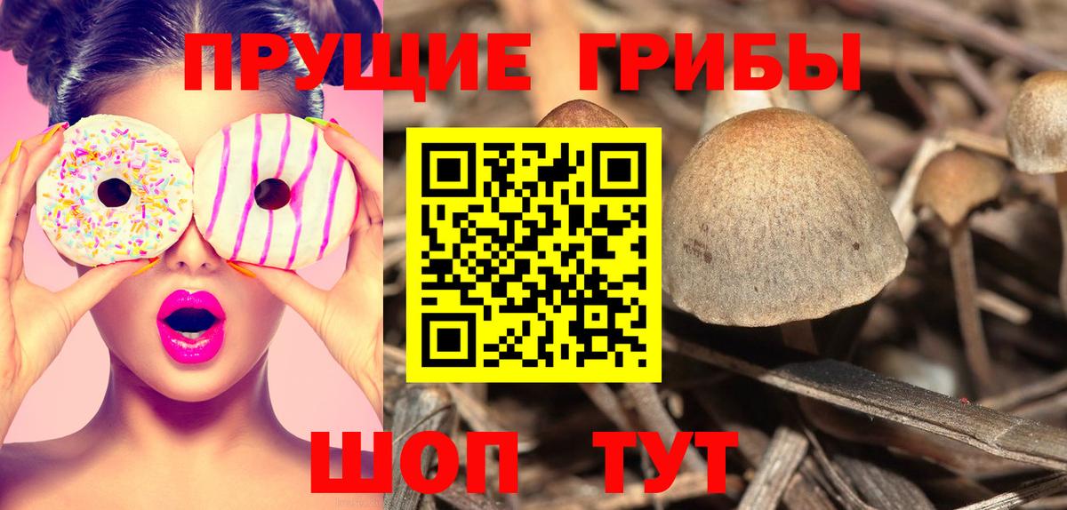 Псилоцибиновые грибы мухоморы Обнинск