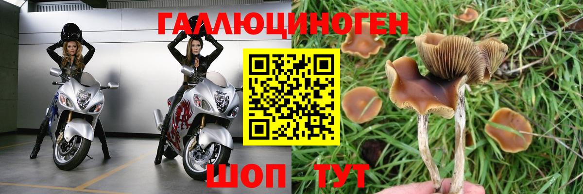 закладка  Галлюциногенные грибы Magic Shrooms  Вход с VPN  Псилоцибиновые грибы GOLDEN TEACHER  Обнинск 